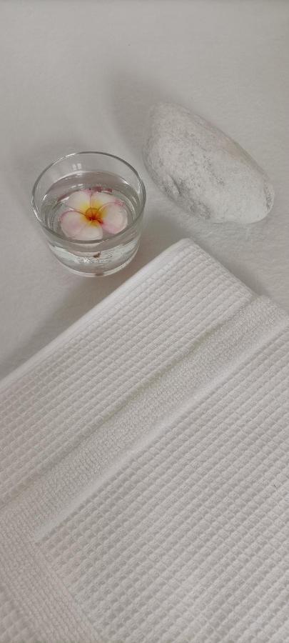 Villa Rustico Viboldone エクステリア 写真