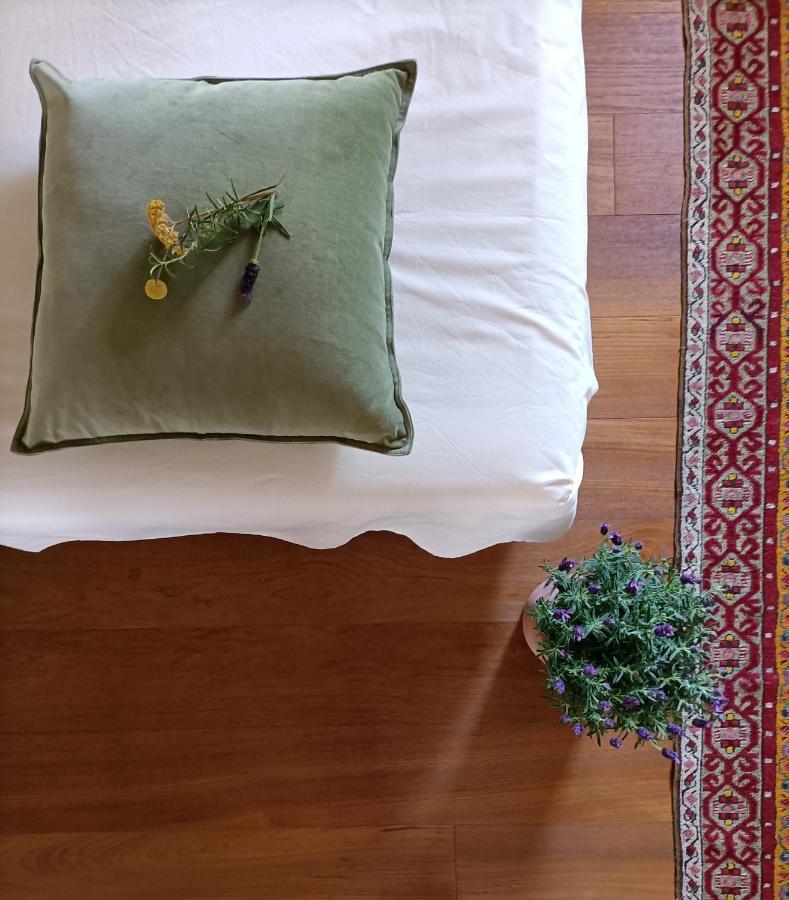 Villa Rustico Viboldone エクステリア 写真