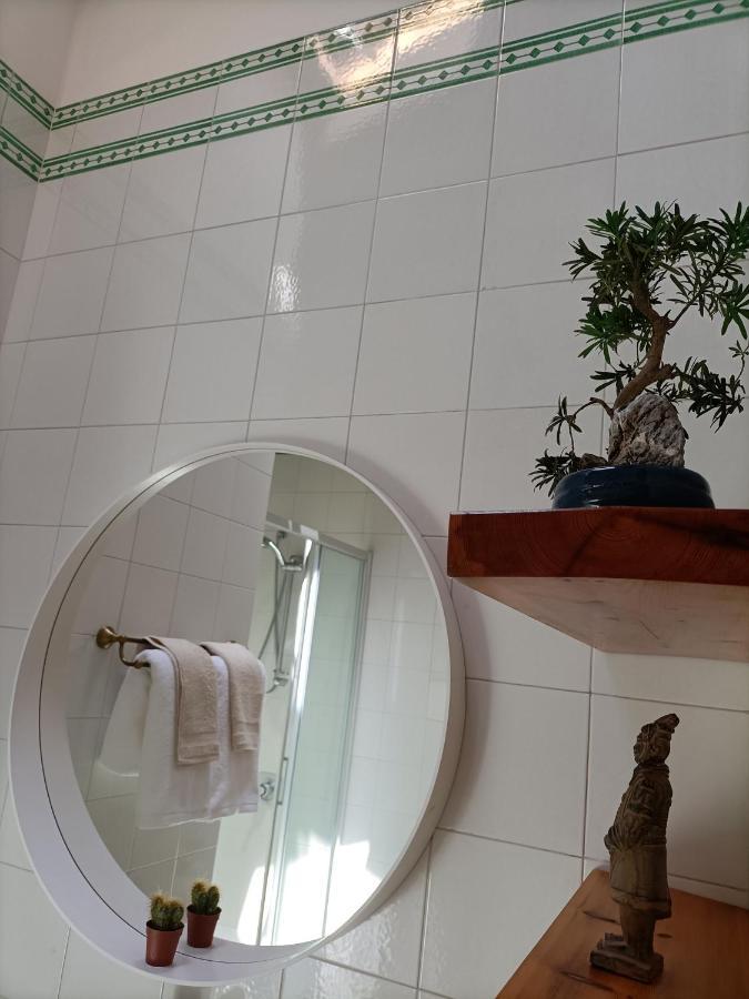 Villa Rustico Viboldone エクステリア 写真