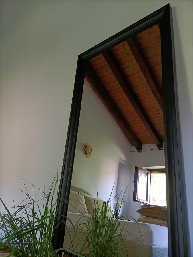 Villa Rustico Viboldone エクステリア 写真