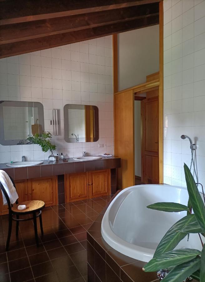 Villa Rustico Viboldone エクステリア 写真